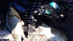 Рыбалка на Паук-подъемник, на новом мостике.