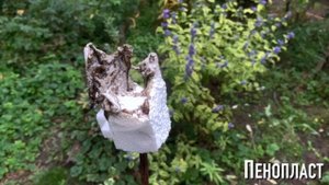 XPS Пенопласт Neopor - тест на горючесть