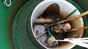 Альта Био 7. Пол года после установки. часть 1