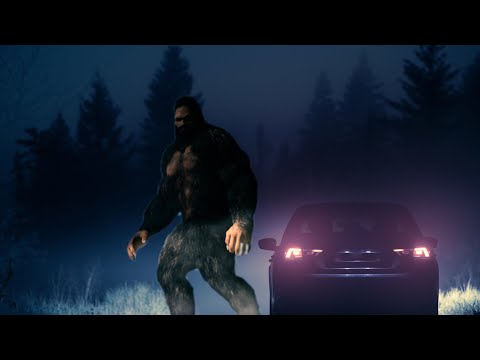 UFO Hunters Experience the Sasquatch