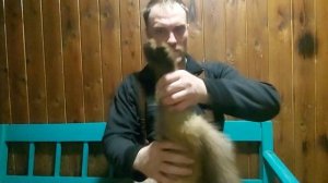 Подготовка меха на сдачу/Как оснимать куницу!