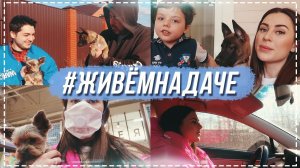 #ЖивемНаДаче день 2 | В гостях у папы, Мои братья.