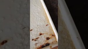 Как отмыть от накипи и ржавчины поддон для просушки посуды