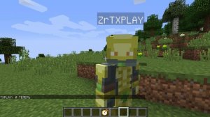 КАК СДЕЛАТЬ ЗАВАРДО В МАЙНКРАФТЕ! Обзор мода The Time Stop Mod