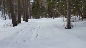 Белокуриха. Поход от Круглой до Церковки.