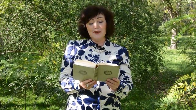 Литературно-музыкальный вечер, посвященный Есенину (арт-клуб "Февраль") смотреть онлайн