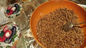 Мицелий на палочках, размножаем на пшенице.  2