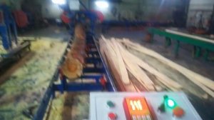 Пилорама с двусторонним пилением