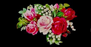 Улыбка девчонки