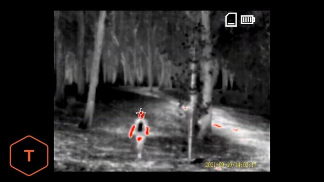 Teslong TTS260 Thermal Monocular First Use Video