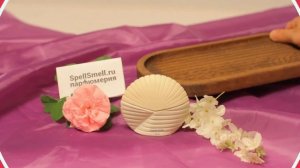 Обзор аромата Белая ракушка от Франк Оливер