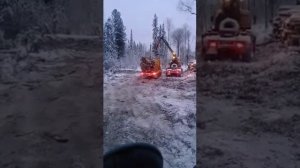 Работа водителей по перевозке леса