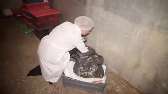 "Проверка" комбината школьного питания. Анонс