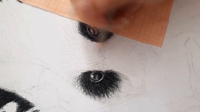 Skethbook  speed drawing  drawing animals. Drawing Panda