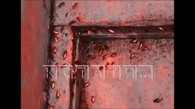 как можно здесь жить как вы живете ? никак не живем ... смотреть онлайн