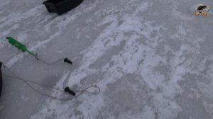 Ловим РОТАНА!!! Крупный РОТАН!!! Алексеевка, Торф Болото