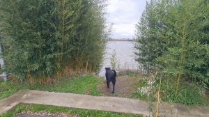 ОТ СОЧИ ПАРК ОТЕЛЯ ДО ОЛИМПИЙСКОГО ПАРКА ЧЕРЕЗ ОРНИТОЛОГИЧЕСКИЙ ПАРК И ИМЕРЕТИНСКУЮ НАБЕРЕЖНУЮ 2022