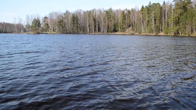 река Юхоть(Ярославская область) покатушки на лодке пвх Тайга 320ск, мотор 9.8 Gladiator, 2 чел. смотреть онлайн