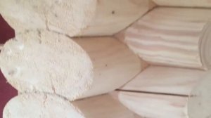Шлифовка сруба из оцилиндрованного бревна