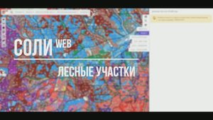 Создание и управление лесными участками арендаторов (пользователей) лесного фонда в СОЛИweb. v.2