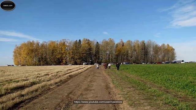 В.А. Шемшук - О священных рощах
