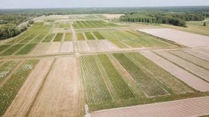 Фильм Туи.mp4