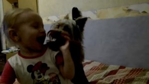 Дружба ребенка и собаки.
