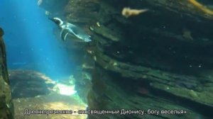 Значение имени Денис. Толкование, судьба, характер