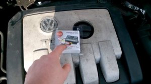 Как бороться с Грызунами в своем автомобиле?