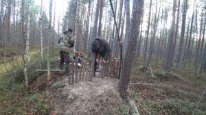 Добыли мудрого ГЛУХАРЯ. Охота на боровую дичь.