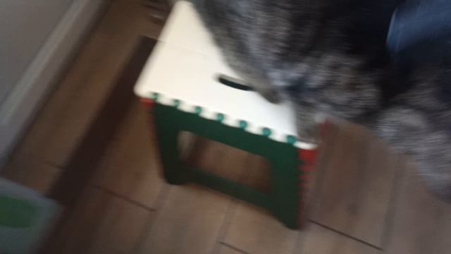 Котосемья. Вот он наш Лева, восемнадцатилетний кот! Пылесос Борг - очень ласковый! ??❤