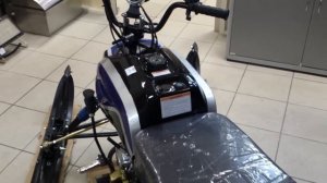 Снегоход Irbis Dingo T110 - внешиний вид
