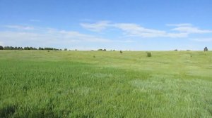 Исчезнувший хутор Михайловский, Вольский район.