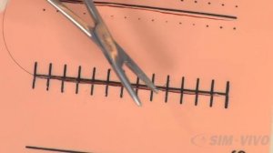 SIM SUTURE - 7. Running Subcuticular Suture