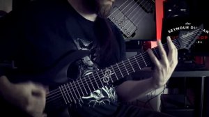 Seymour Duncan Custom Shop Pickup (Black Winter + Nazgul = Necromancer)