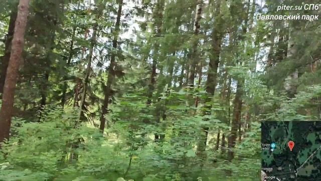 Павловский парк города Павловск Пушкинского района Санкт-Петербурга #павловскийпарк piter.su