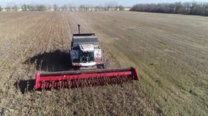 Испытания жатки для уборки подсолнечника  НАШ 7,4 и НАШ 9,1 Full HD 1080p