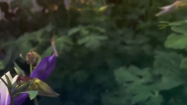 ?Нежная музыка и великолепные цветы? смотреть онлайн