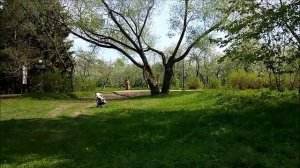Дендрологический сад Переславля-Залесского.mp4