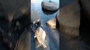 Адыгея 1 часть