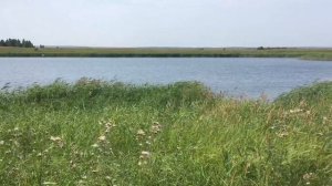 Озёра Челябинской области. Озеро Чистенькое . Купаемся в Ильин День!