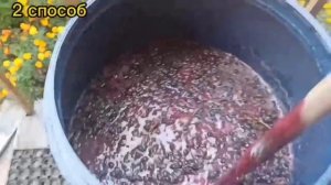 ВИННЫЕ ДРОЖЖИ.