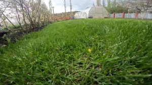 Аккумуляторная газонокосилка Greenworks GD40LM46SP: подробный обзор и тест