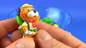 Киндер Сюрприз Игрушки Миньоны и другие игрушки Amazing Toys Surprise Collection