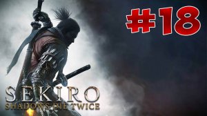 Гайд Sekiro: Shadows Die Twice. Все Секреты и Тактика прохождения. Часть 18. Опустившаяся долина