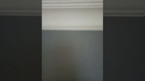 Идеальный стык двух цветов(потолочный плинтус и стена)