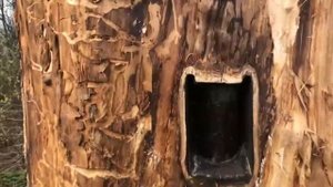 КОЛОДНОЕ ПЧЕЛОВОДСТВО отнимает совсем мало времени!