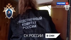 Вести Санкт-Петербург: В Ленинградской области прошли рейды по поиску мигрантов – нелегалов