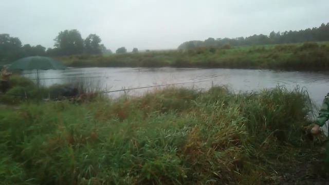 Кубок Пеликана 2012 Закорм смотреть онлайн