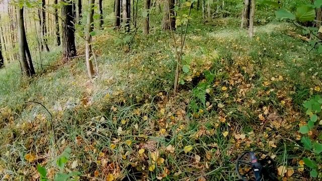 Эти Находки ждали именно её! Жена СРАЗУ Нашла в лесу отличные Находки! ВЕЗЕТ ЖЕ ДЕВУШКАМ!коп 2020